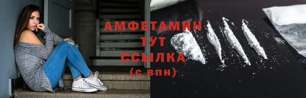 метадон Богданович