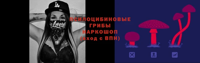 MDMA Premium VHQ Нефтекумск