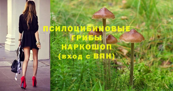 МДПВ Белоозёрский